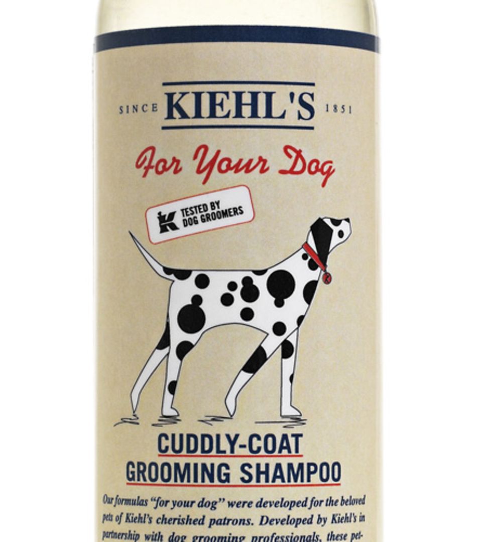 Nettes Mitbringsel aus Amerika: Kiehl's "Cuddly-Coat Grooming Shampoo" Nettes Mitbringsel aus Amerika: Kiehl's "Cuddly-Coat Grooming Shampoo"