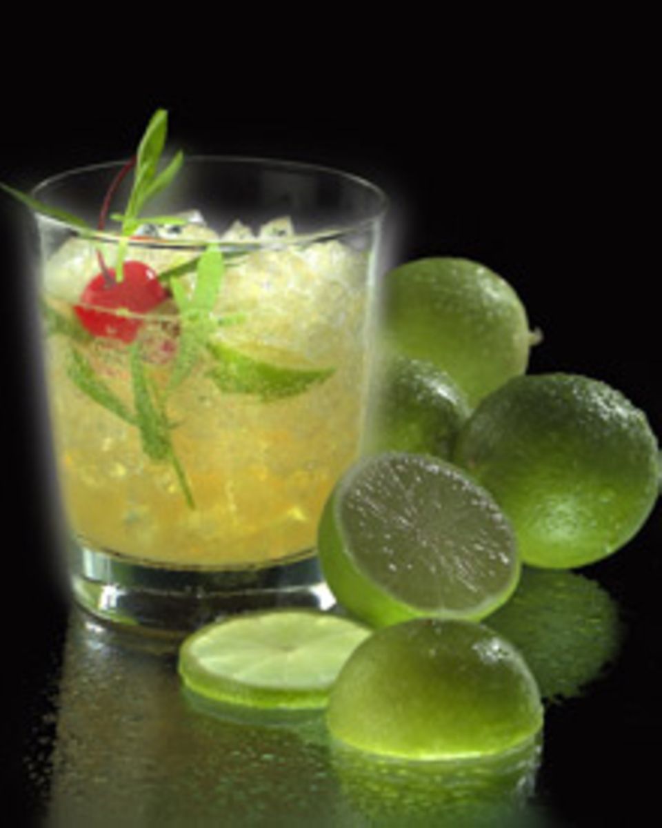 Magic Tarragon Magic Tarragon