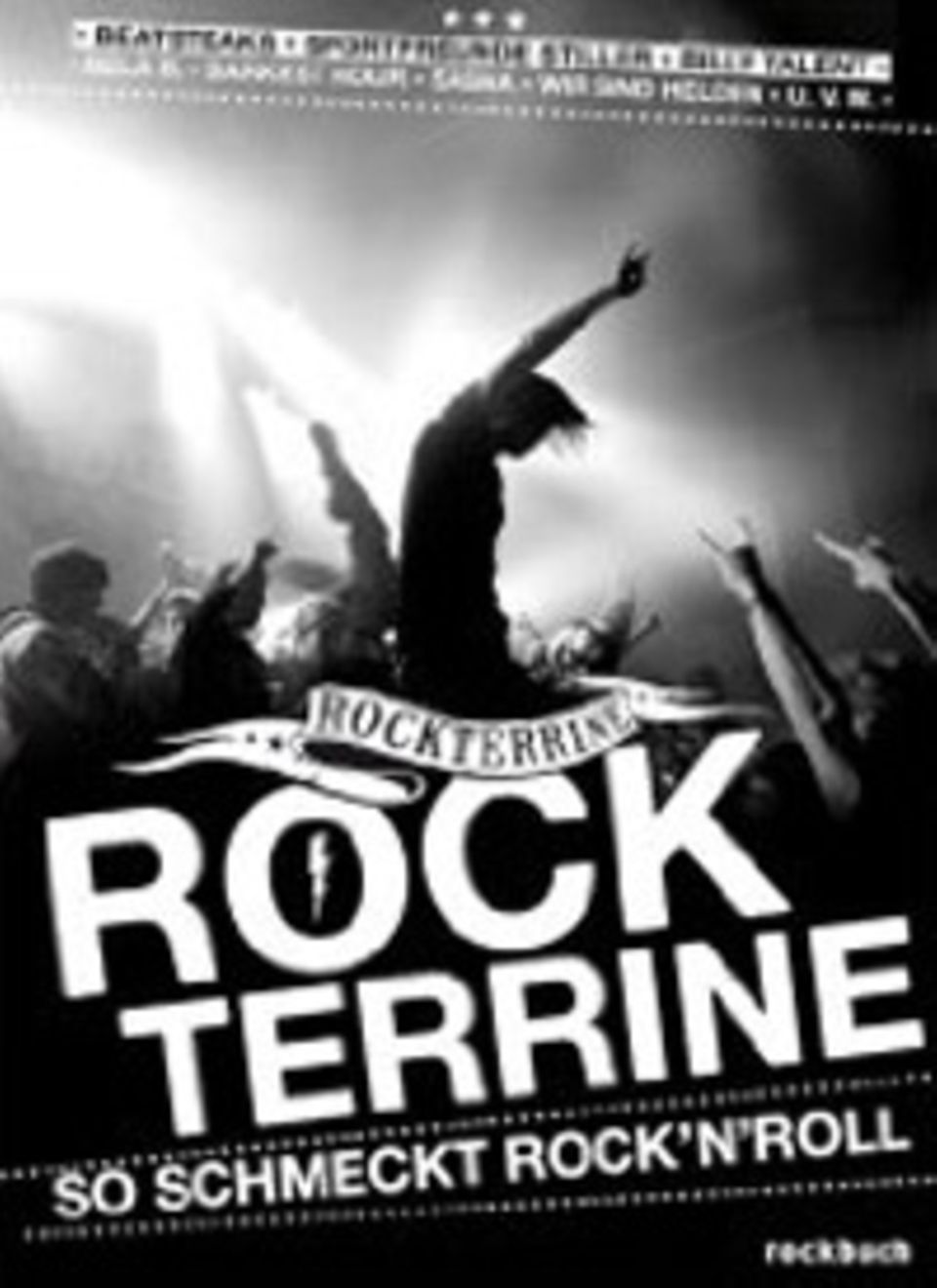 Jens Nink: "Rockterrine", Rockbuch Verlag, 160 Seiten, 17,90 Euro Jens Nink: "Rockterrine", Rockbuch Verlag, 160 Seiten, 17,90 Euro
