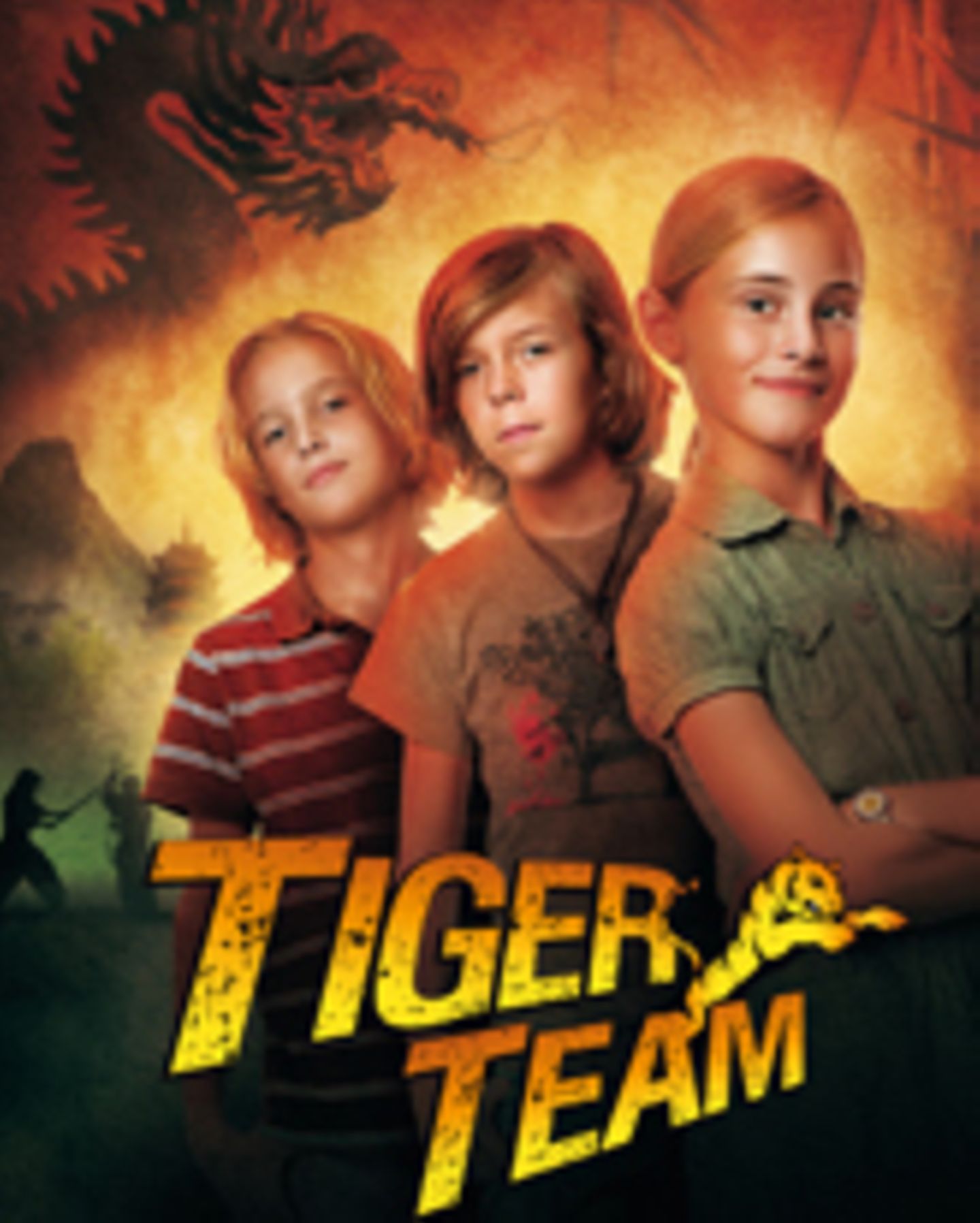 Tiger-Team