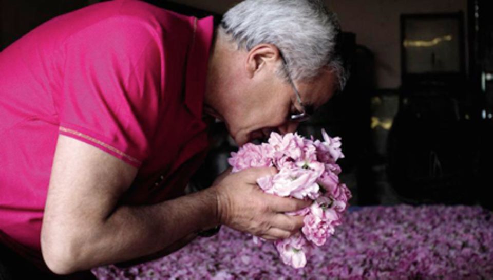 Im Blütenrausch zu schwelgen, lieben Parfümeure wie Francois Demachy.