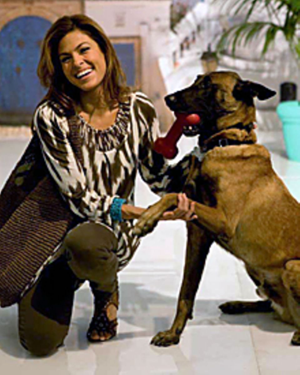 Alle lieben Hugo! Eva Mendes brachte zum "World gallery"-Shooting in Los Angeles ihren belgischen Schäferhund mit.