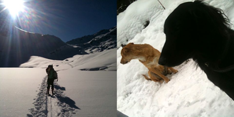Links: Auf Skitour - "Dies ist meine Tochter Elisabeth. Sie begleitet mich oft in die Berge." Rechts: Die Hunde Biene und Maja.