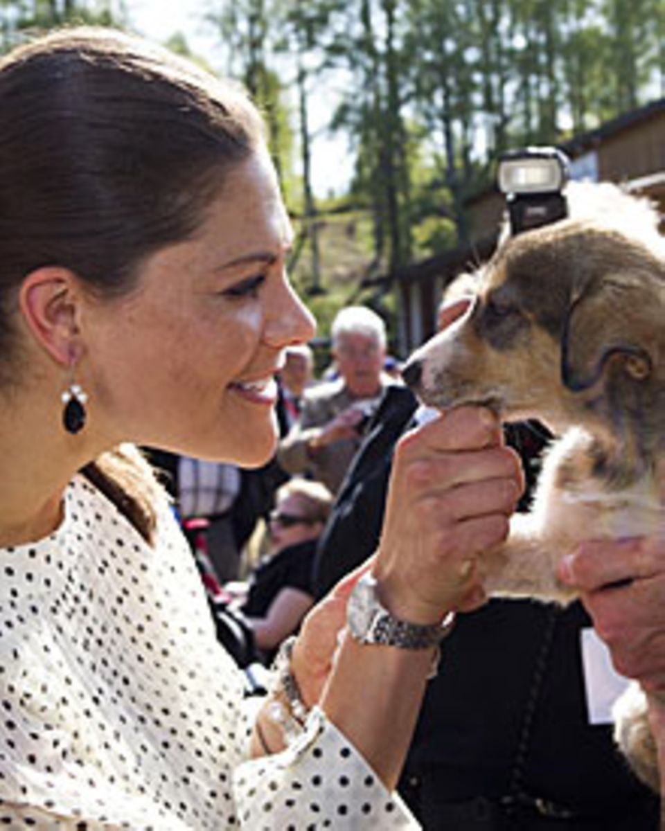 Sie herzt Kinder, alte Freunde von Daniel oder auch Schlittenhund-Welpen: Berührungsängste sind Victoria, die wie Daniel eine öf Sie herzt Kinder, alte Freunde von Daniel oder auch Schlittenhund-Welpen: Berührungsängste sind Victoria, die wie Daniel eine öf