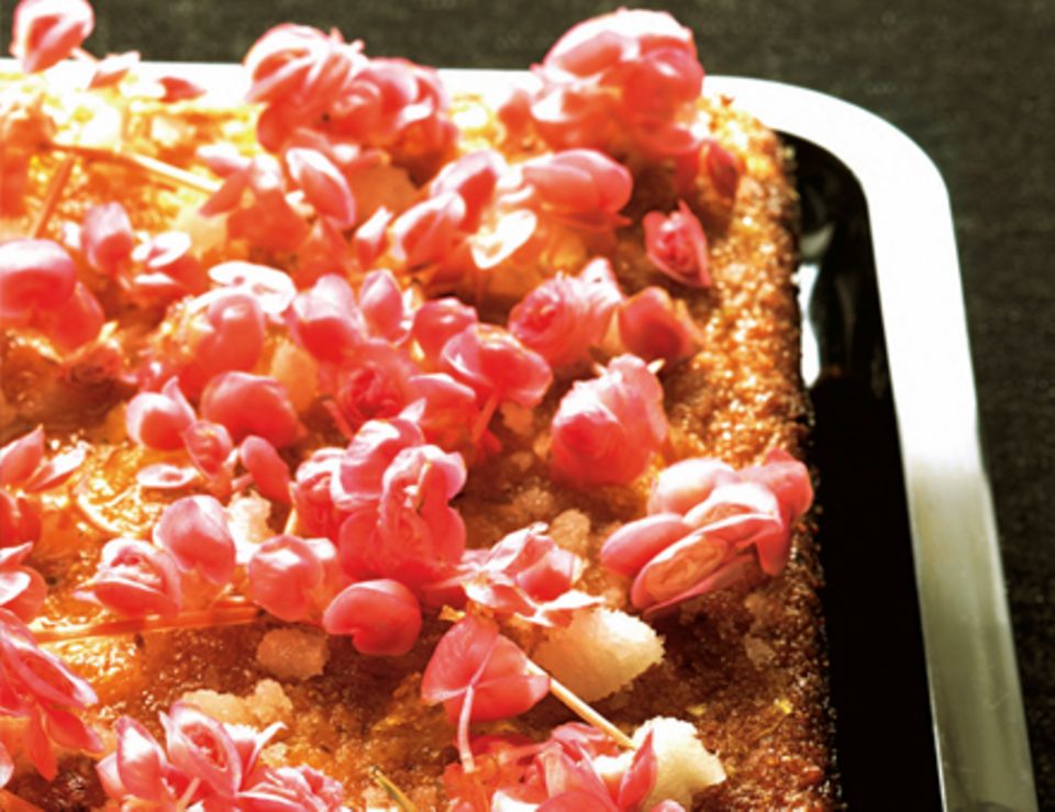 Clementinen-Kuchen Clementinen-Kuchen