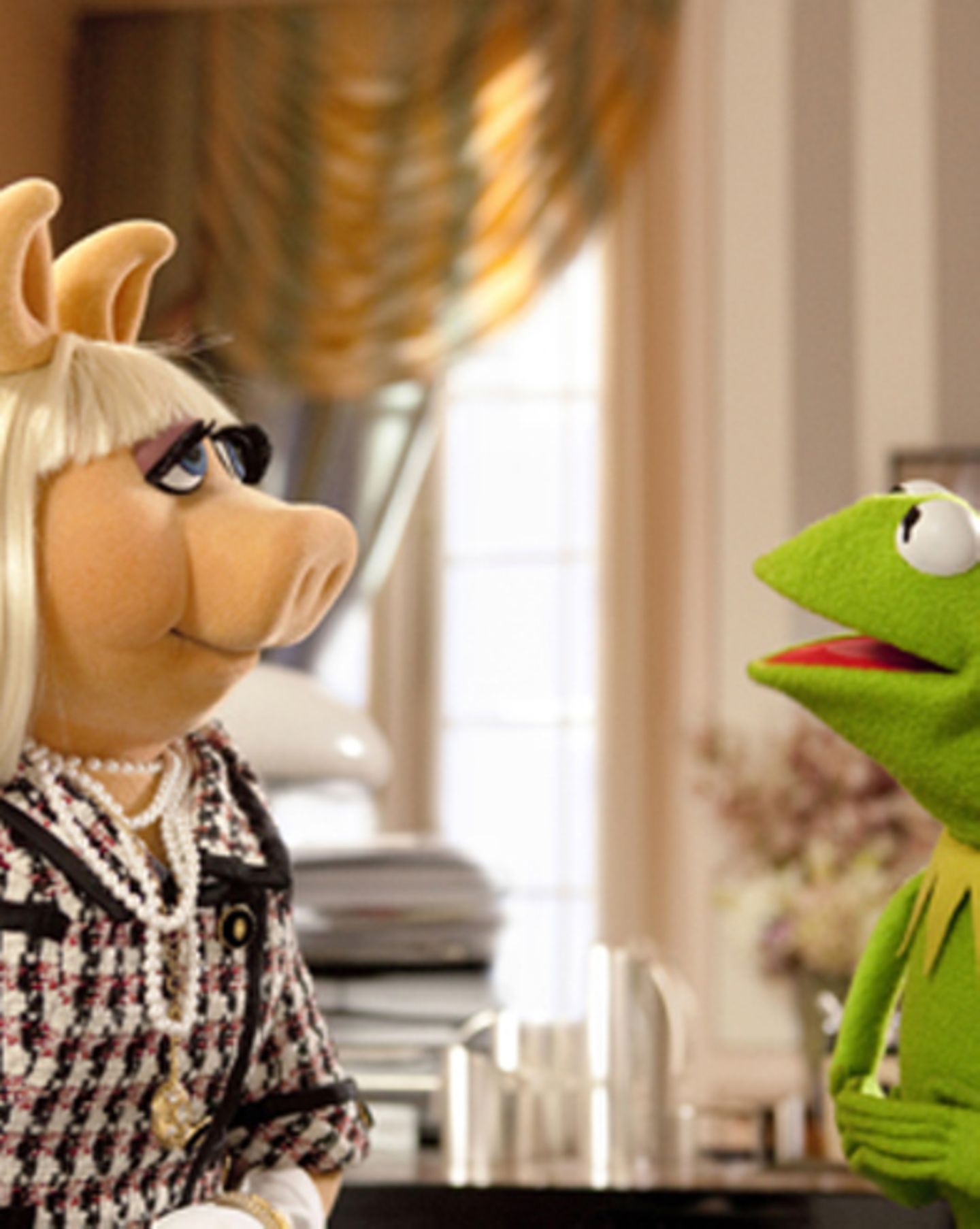 DVDTipp Die Muppets GA