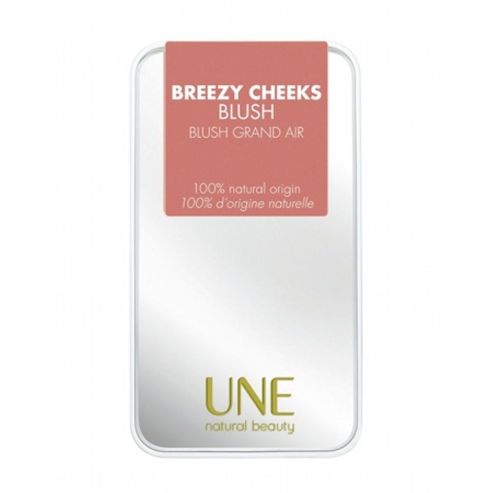 Fard à Joues Bourjois 'Breezy Cheeks' Teinte Abricot B04 - Blush Crème Hypoallergénique 3,4g - Neuf