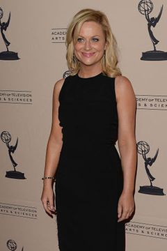 Wer ist mit amy poehler verheiratet