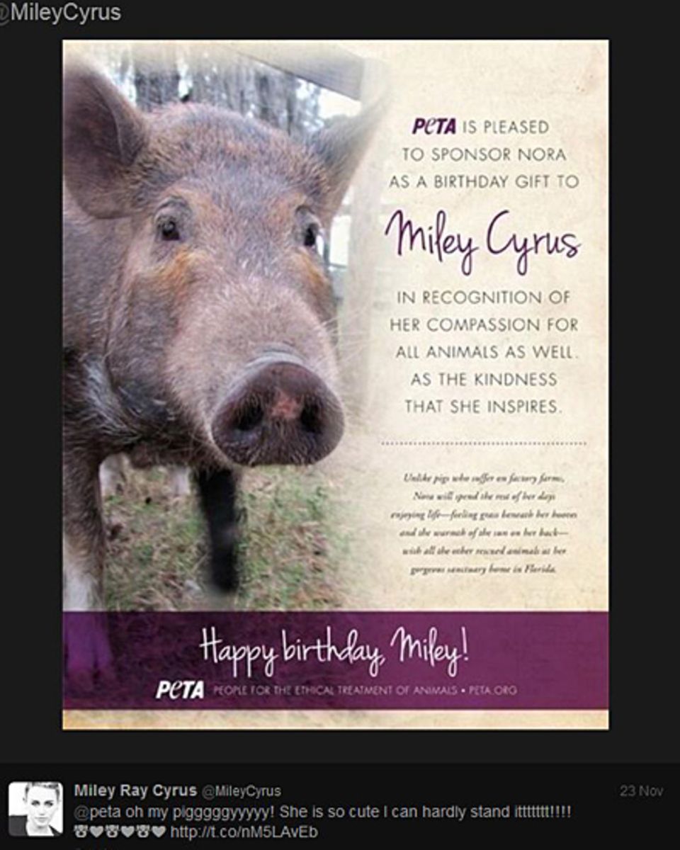 Miley Cyrus teilt die Freude über ihr Geburtstagsgeschenk via Twitter mit ihren Fans. Miley Cyrus teilt die Freude über ihr Geburtstagsgeschenk via Twitter mit ihren Fans.