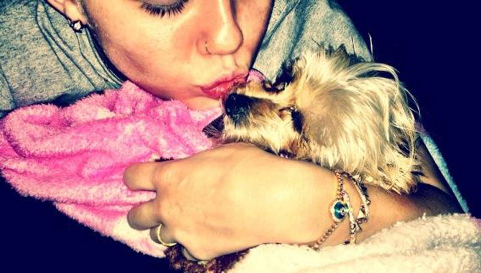 "Kann nicht schlafen. Ich vermisse mein Mädchen..." schrieb Miley Cyrus und postete dieses Bild von sich und ihrem Hund Lila. "Kann nicht schlafen. Ich vermisse mein Mädchen..." schrieb Miley Cyrus und postete dieses Bild von sich und ihrem Hund Lila.