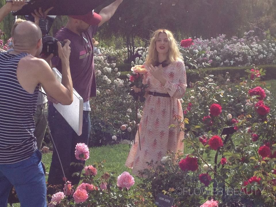 Drew Barrymore: Kamera, Licht, Action! Bei einem Werbedreh im Blumengarten hat die Schauspielerin sichtlich Spaß. Licht, Kamera, Action! Beim Werbedreh für ihre neue Make-up-Kollektion hat die 38-Jährige sichtlich Spaß.