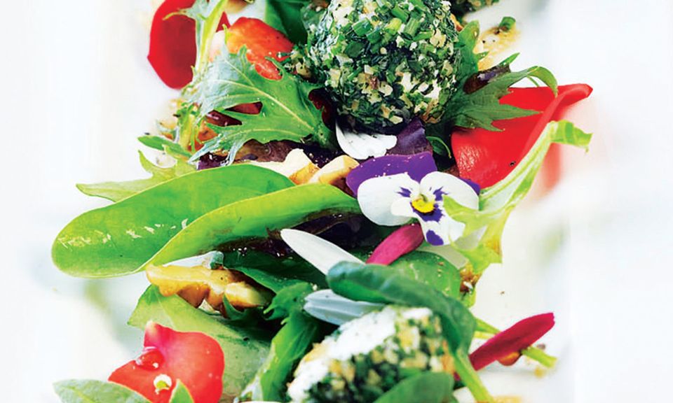 Salat: Für Grünschnäbel | GALA.de