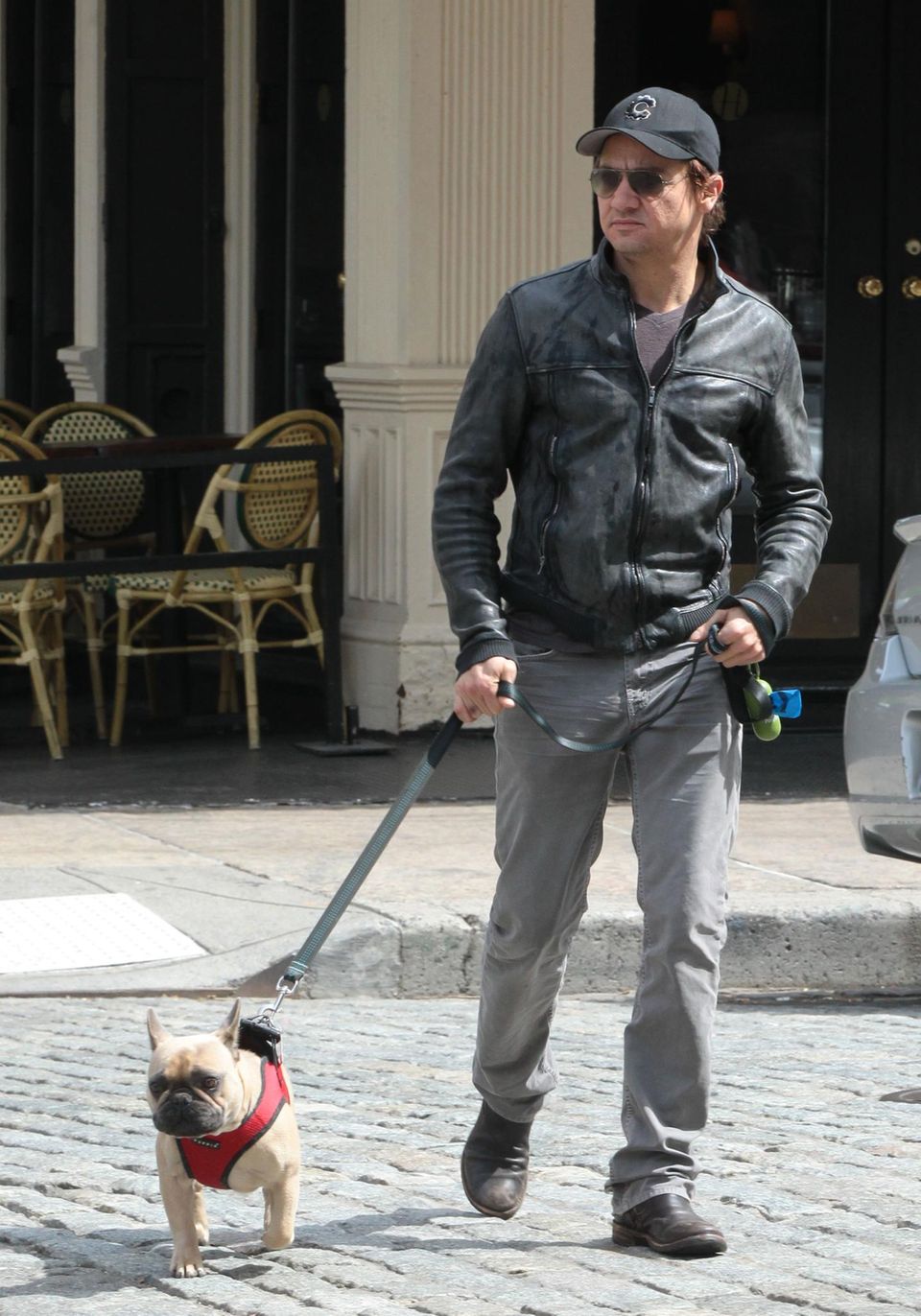 Jeremy Renner im Mai 2013 mit seinem Hund Hemi