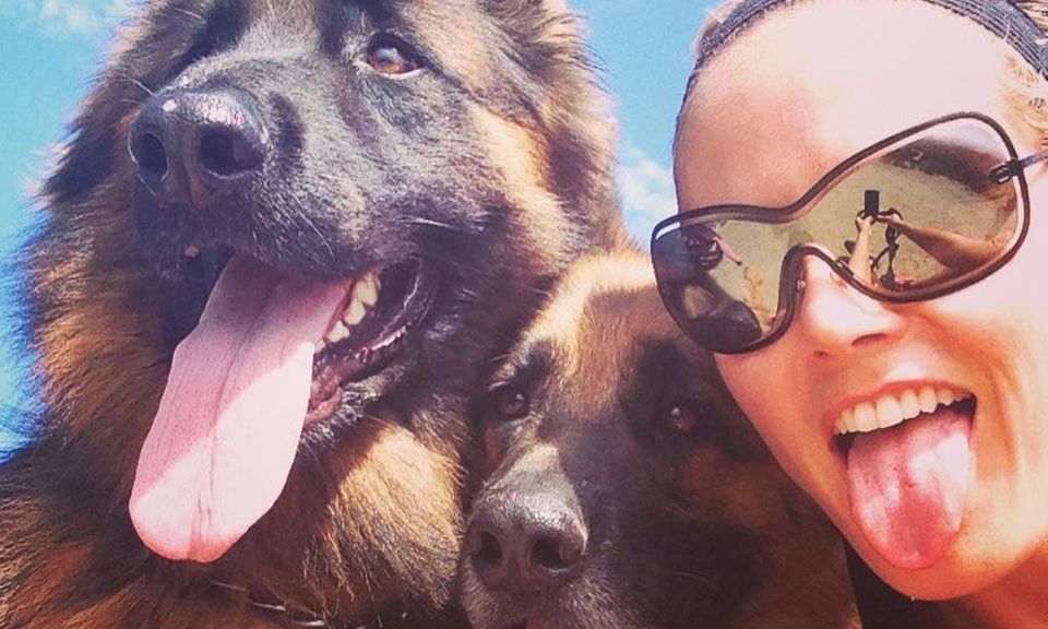 Hängende Zungen: Heidi Klum nach dem Lauf mit ihren Hunden