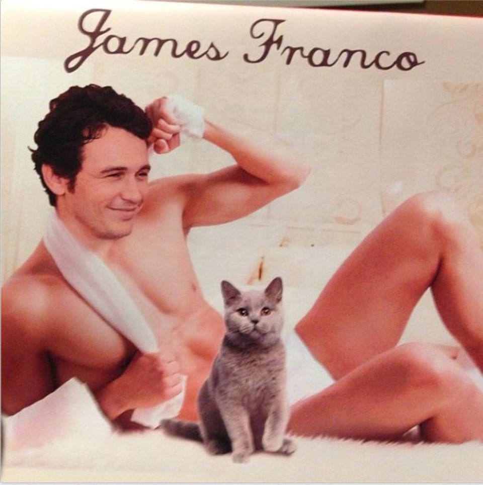 James Franco nur in Shorts und dazu eine süße Katze - Das würden viele Frauen gerne sehen.