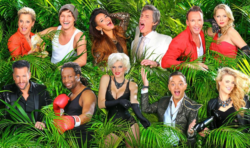 Die Kandidaten Elf sogenannte Prominente (vom Nacktmodel über den Schlagersänger und den Schauspieler bis zur Girl-Group-Schönheit) wagen sich vom 17. Januar bis zum 2. Februar in den Dschungel.