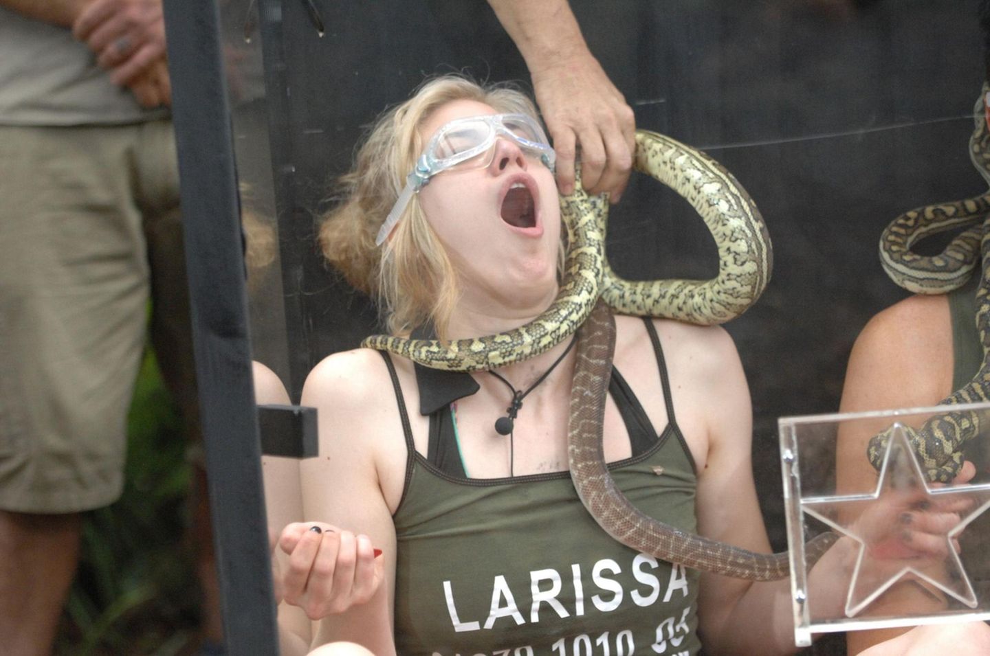 Larissa Marolt: Die erste Dschungelprüfung: Larissa stellt sich recht schnell als die Schlange des Camps heraus. Alle Infos zu "Ich bin ein Star - Holt mich hier raus!" im Special bei RTL.de: http://www.rtl.de/cms/sendungen/ich-bin-ein-star.html Tag 1 Die erste Dschungelprüfung als sich selbst bewahrheitende Prophezeiung: Larissa stellt sich recht schnell als die Schlange des Camps heraus. Alle Infos zu "Ich bin ein Star - Holt mich hier raus!" im Special bei RTL.de: http://www.rtl.de/cms/sendungen/ich-bin-ein-star.html