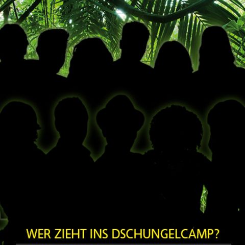"Dschungelcamp"-Teilnehmer 2015