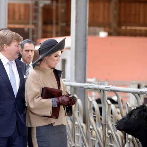 Ministerpräsident Torsten Albig begleitet das Königspaar im Kuhstall