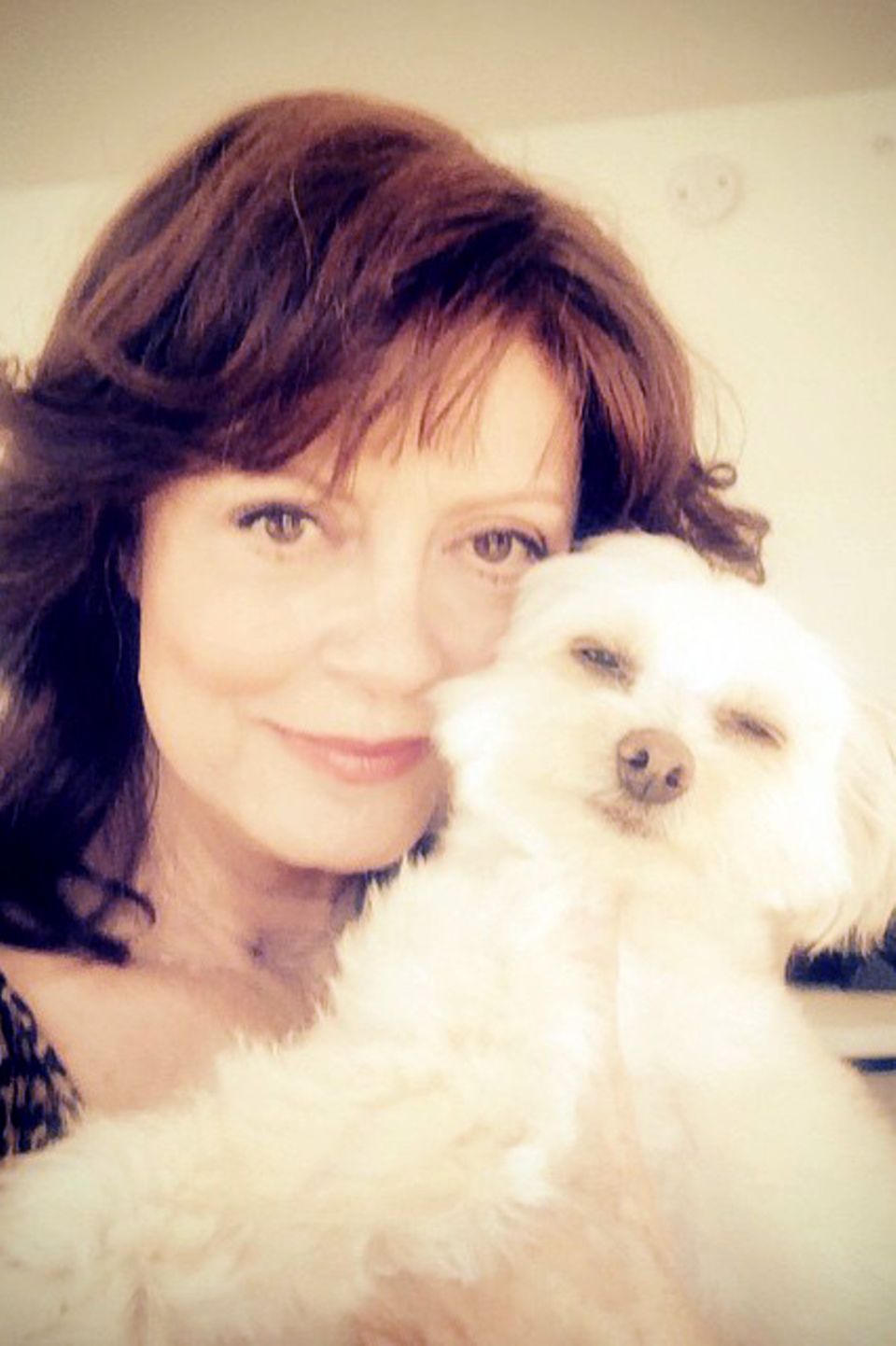 Uns geht's gut! Aus Los Angeles, wo sie gerade mit Rose Byrne und J. K. Simmons "The Meddler" dreht, twitterte Susan Sarandon ein Foto mit ihrer Hündin Penny Lane. Klare Botschaft: Warum denn weinen, wenn man auseinandergeht ... Uns geht's gut! Aus Los Angeles, wo sie gerade mit Rose Byrne und J. K. Simmons "The Meddler" dreht, twitterte Susan Sarandon ein Foto mit ihrer Hündin Penny Lane. Klare Botschaft: Warum denn weinen, wenn man auseinandergeht ...