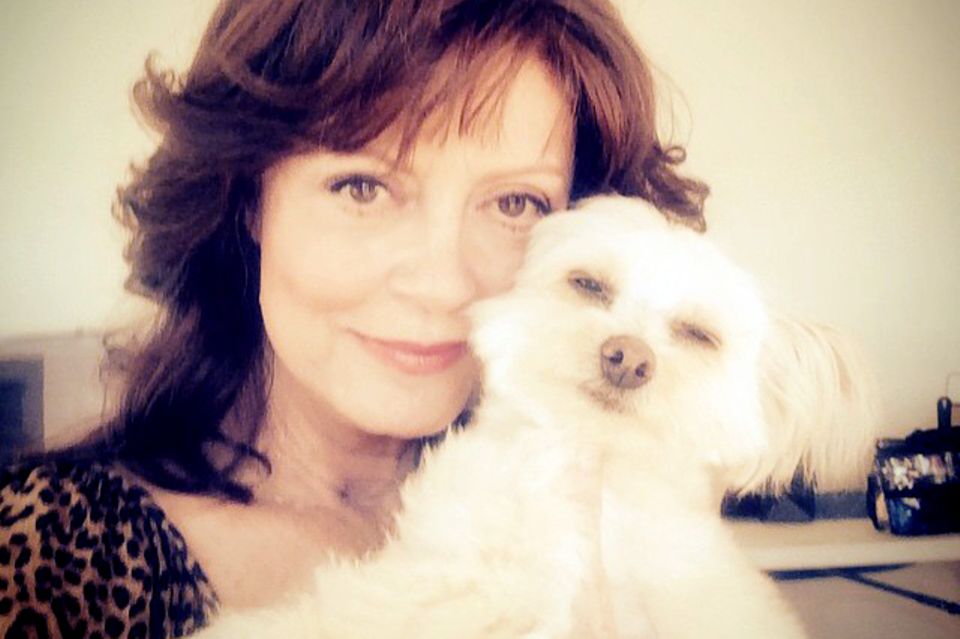 Uns geht's gut! Aus Los Angeles, wo sie gerade mit Rose Byrne und J. K. Simmons "The Meddler" dreht, twitterte Susan Sarandon ein Foto mit ihrer Hündin Penny Lane. Klare Botschaft: Warum denn weinen, wenn man auseinandergeht ...