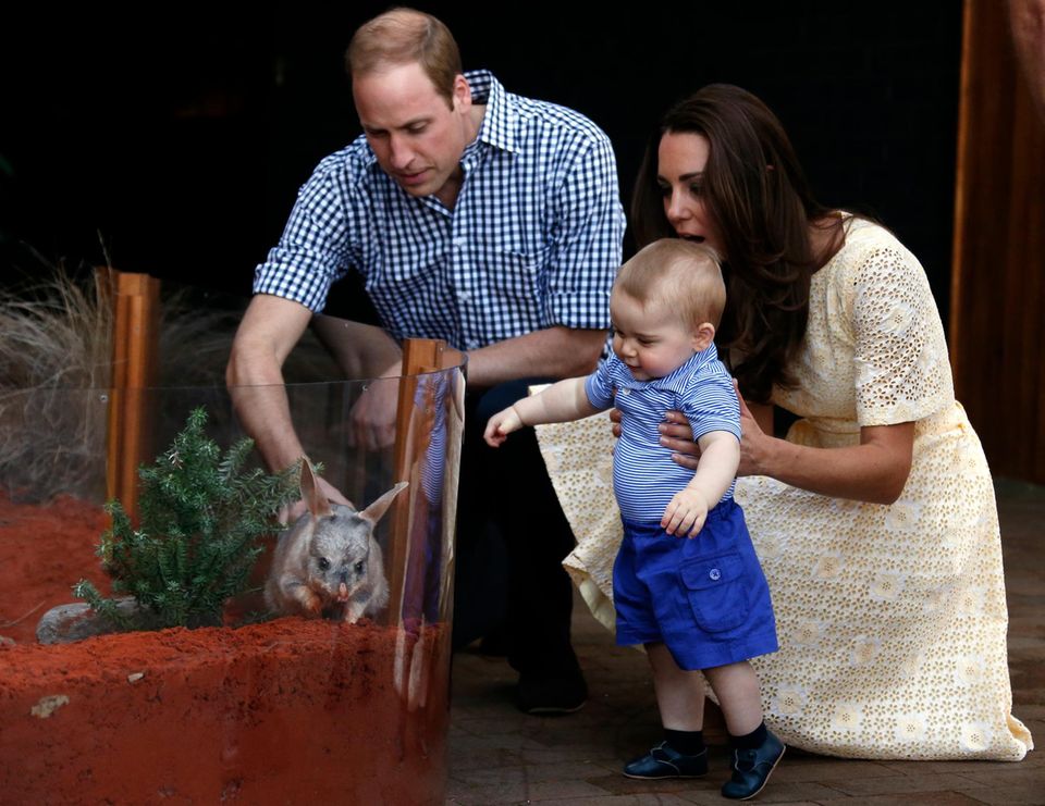 Familie Cambridge: Prinz William und Catherine wollen ihren Kindern liebevolle, bodenständige Eltern sein - ohne übergroßen Medienrummel, eher auf dem Land als in der Hauptstadt, selbst anpackend anstatt ein Heer von Nannys zu beschäftigen. Beim willensstarken und energiegeladenen Klein-George haben sie ihre Elternqualitäten schon testen können. Prinz William und Catherine wollen ihren Kindern liebevolle, bodenständige Eltern sein - ohne übergroßen Medienrummel, eher auf dem Land als in der Hauptstadt, selbst anpackend anstatt ein Heer von Nannys zu beschäftigen. Beim willensstarken und energiegeladenen Klein-George haben sie ihre Elternqualitäten schon testen können.