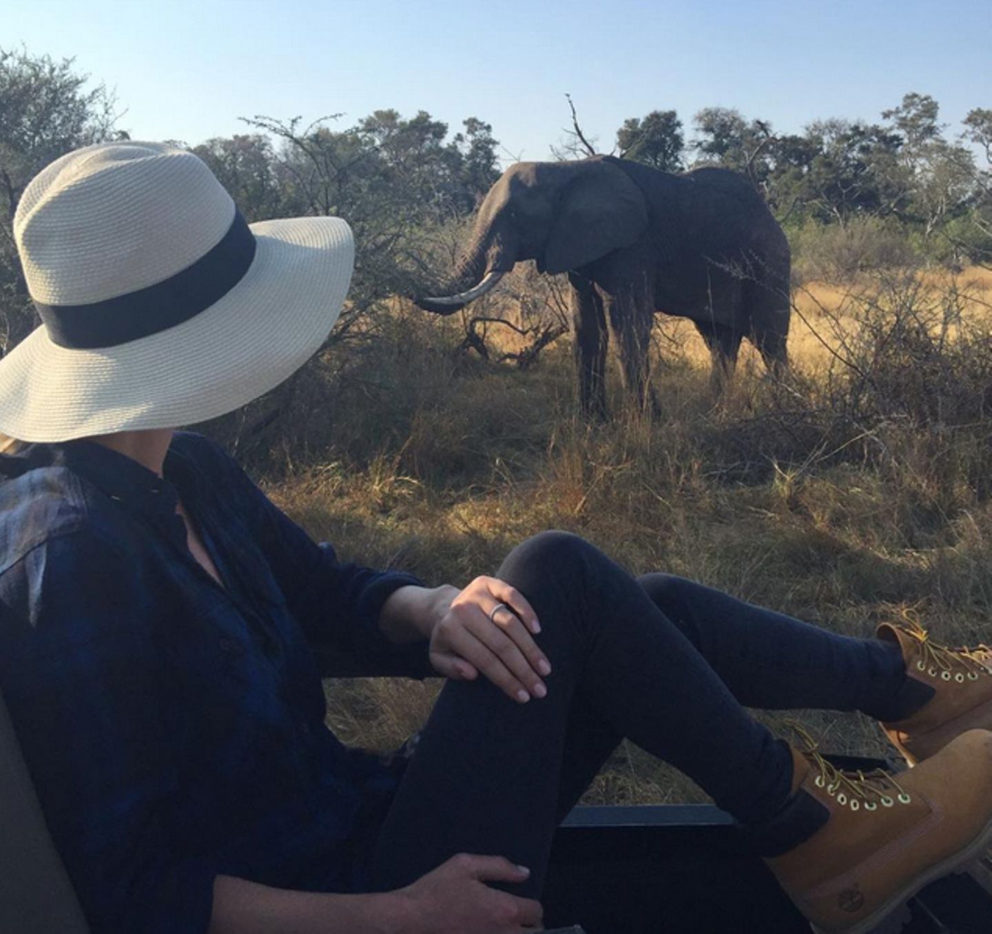 Das sieht ganz nach einer Safari in Afrika aus: Nicky Hilton postet diesen Schnappschuss aus ihren Flitterwochen.