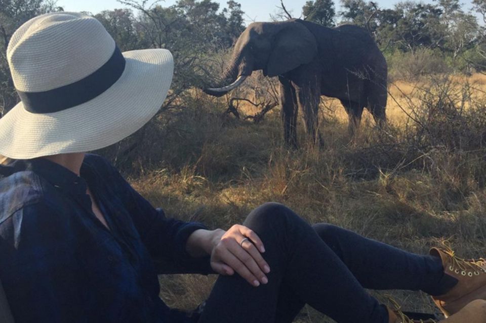 Nicky Hilton: Das sieht ganz nach einer Safari in Afrika aus: Nicky Hilton postet diesen Schnappschuss aus ihren Flitterwochen. Das sieht ganz nach einer Safari in Afrika aus: Nicky Hilton postet diesen Schnappschuss aus ihren Flitterwochen.
