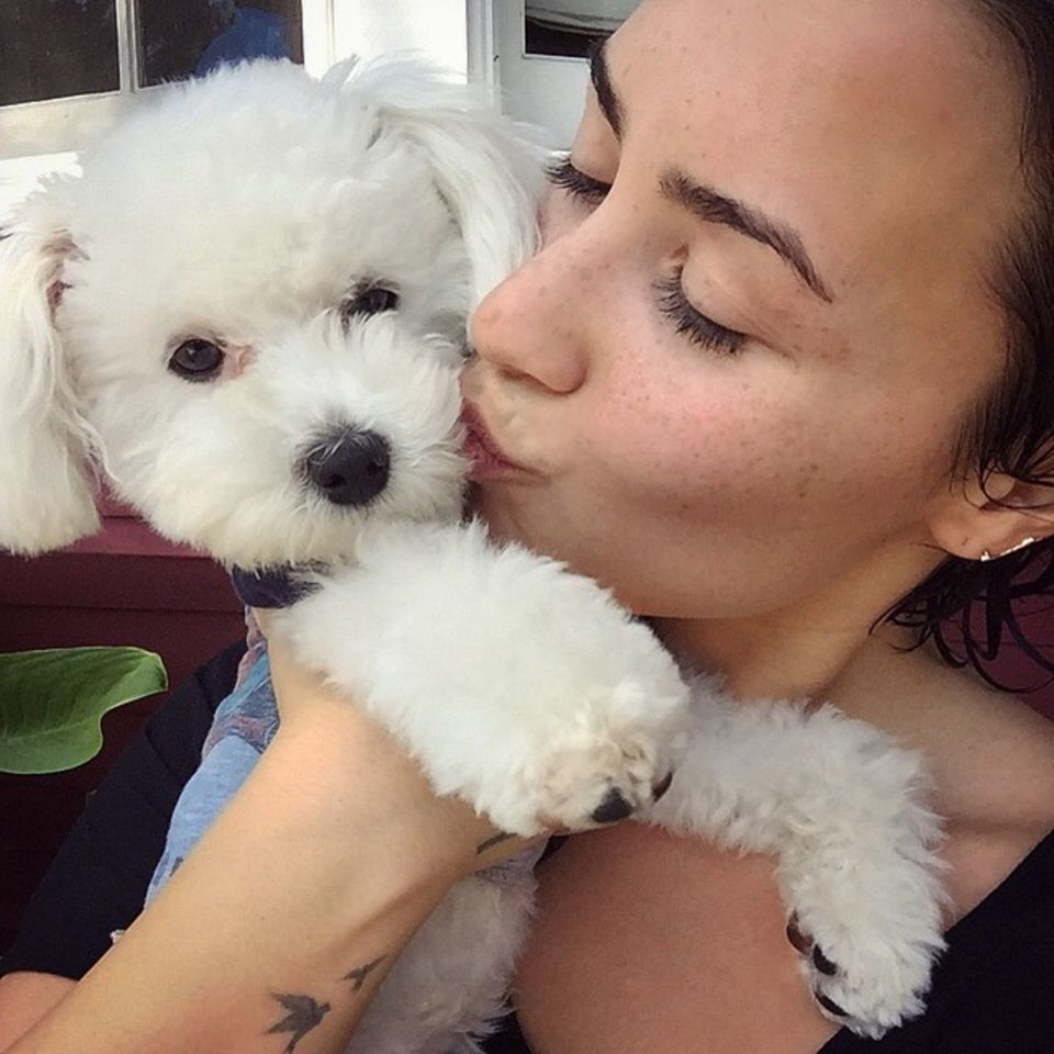 Demi Lovato: Trauer um ihren Hund - alle Termine abgesagt Demi Lovato: Trauer um ihren Hund - alle Termine abgesagt