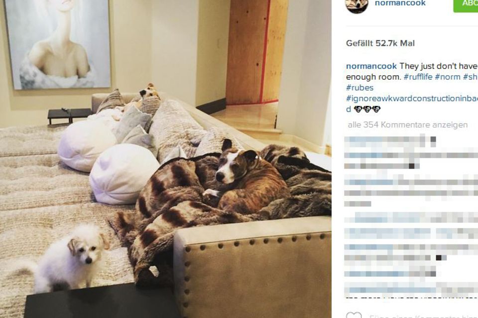 Kaley Cuoco: Bisher fanden auf Kaleys Couch drei Hündchen Platz. Nun dürfen sich Norman, Shirley und Ruby über ein neues Familienmitglied freuen, das hier sicherlich auch bald liegen wird. Bisher fanden auf Kaleys Couch drei Hündchen Platz. Nun dürfen sich Norman, Shirley und Ruby über ein neues Familienmitglied freuen, das hier sicherlich auch bald liegen wird.