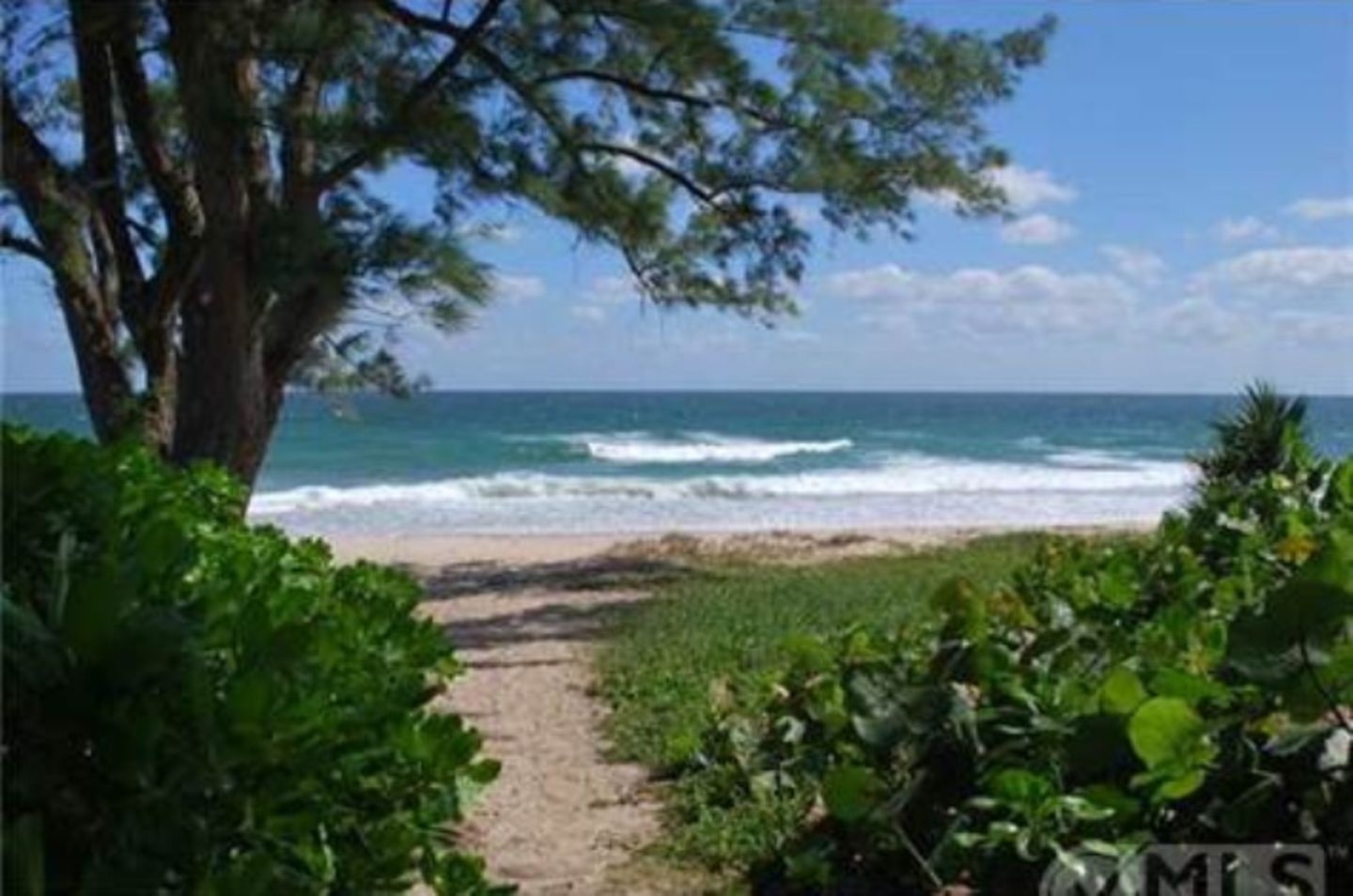 Prinzessin Madeleine + Chris O'Neill: Verlockend nah an dem Haus in Palm Beach liegt der Strand. Verlockend nah an dem Haus in Palm Beach liegt der Strand.