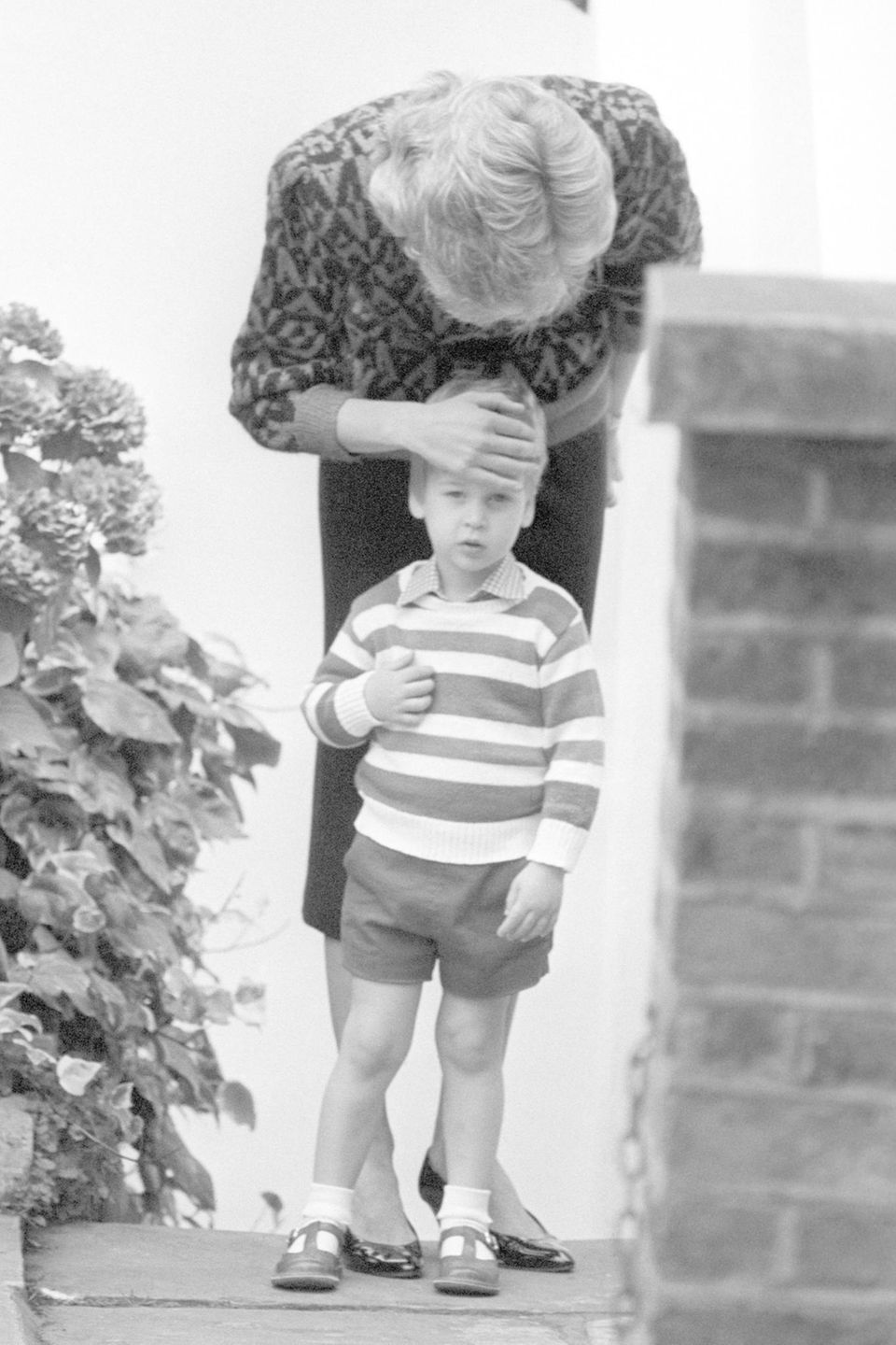 Prinz George: Prinz William besuchte einen Montessori-Kindergarten in London ab 1985. Prinz William besuchte einen Montessori-Kindergarten in London ab 1985.