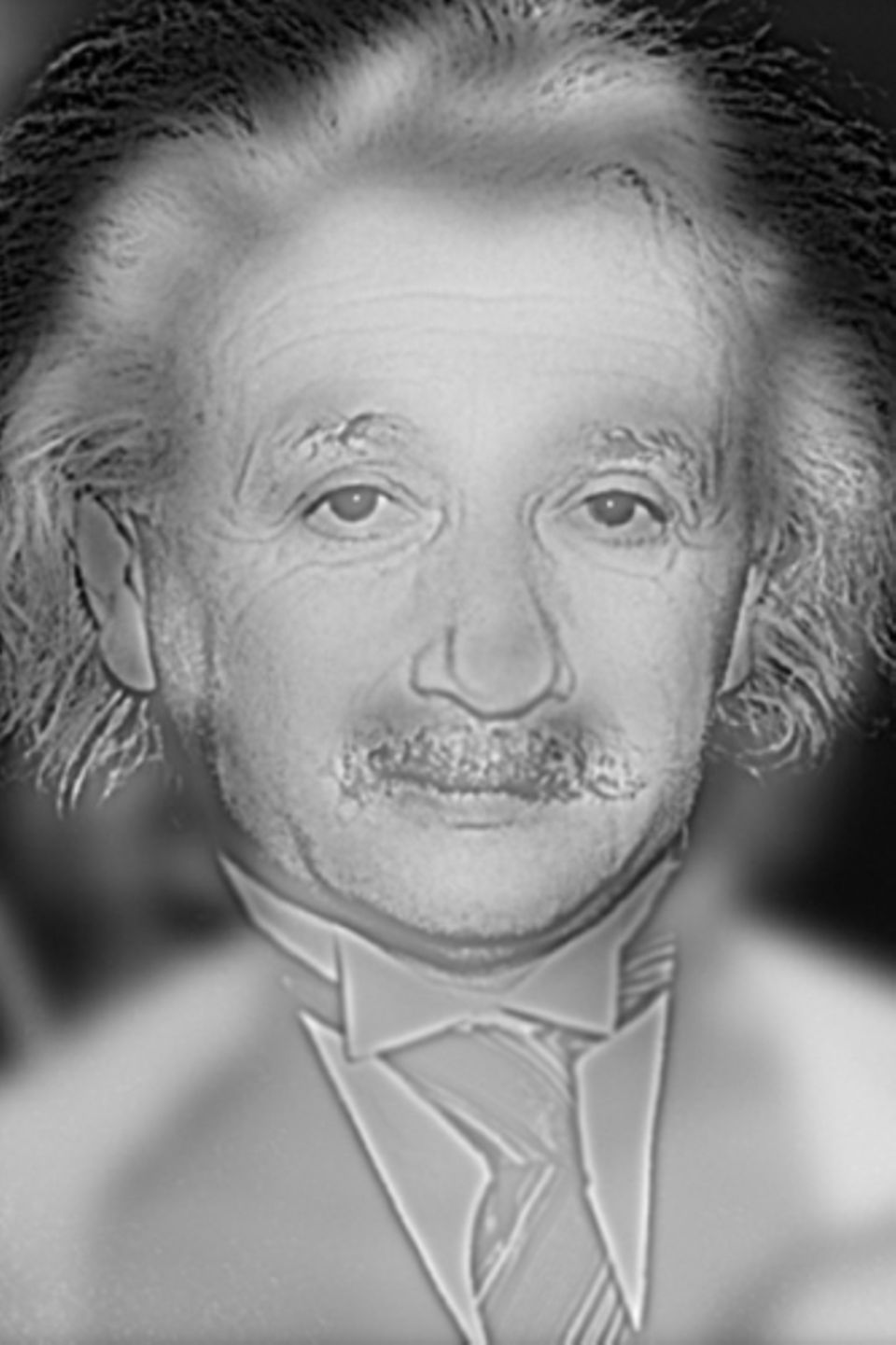 Albert Einstein oder Marilyn Monroe?