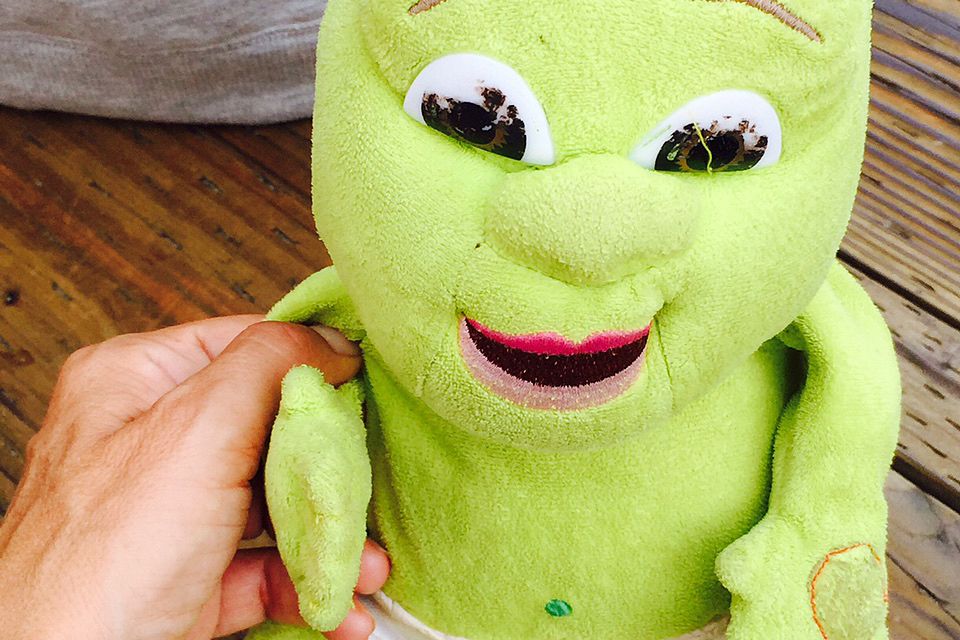So Sue: Eine Woche Detox und schon träumt man von "Shrek", dem grünen Kinderheld. Eine Woche Detox und schon träumt man von "Shrek", dem grünen Kinderheld.