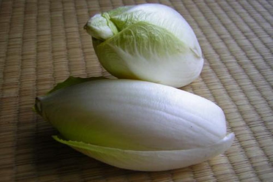 Salat: Endivie Endivie