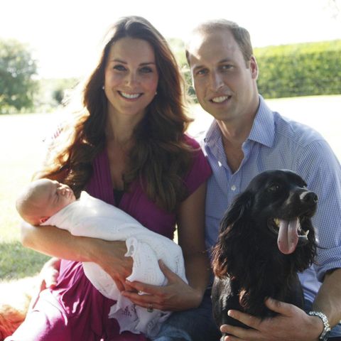 Herzogin Catherine, Prinz William und Familienhund Lupo