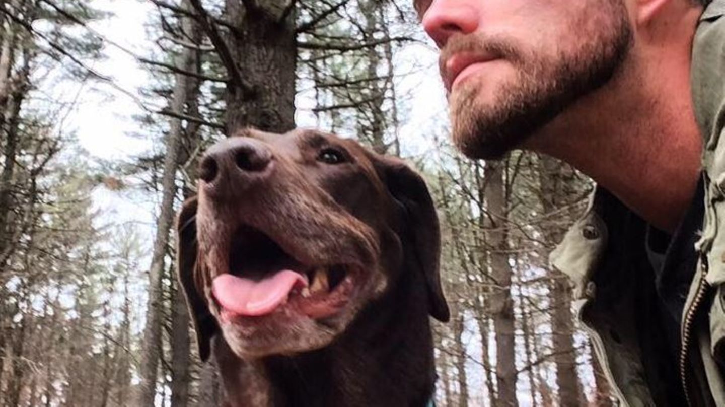 Rührend Ein krebskranker Hund auf Reisen GALA.de