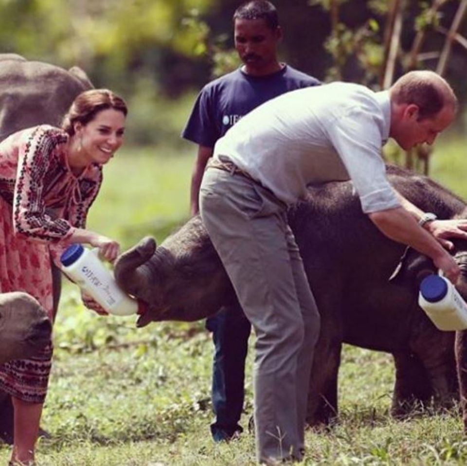 Prinz George: Kate und William in Indien.