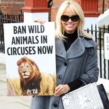 Leidenschaftlich unterstützt Pamela Anderson die Tierschutzorganisation Peta. Der Ex-Baywatch-Star verschickt sogar einen großen Umschlag an Premierministerin Theresa May, in dem sie ein Verbot von Wilden Tieren in Englands Zirkussen verlangt.