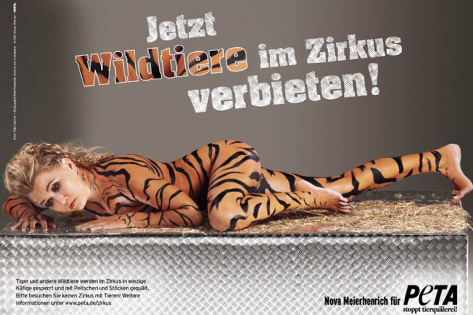 Für PETA schlüpft die Schauspielerin und Moderatorin Nova Meierhenrich in die Rolle eines Tigers, um sich für ein bundesweites V Für PETA schlüpft die Schauspielerin und Moderatorin Nova Meierhenrich in die Rolle eines Tigers, um sich für ein bundesweites V