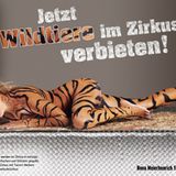Für PETA schlüpft die Schauspielerin und Moderatorin Nova Meierhenrich in die Rolle eines Tigers, um sich für ein bundesweites V