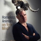 Gemeinsam mit Peta appelliert die britische Musik-Legende Morrissey, Hunde und Katzen kastrieren zu lassen, um so Überpopulation