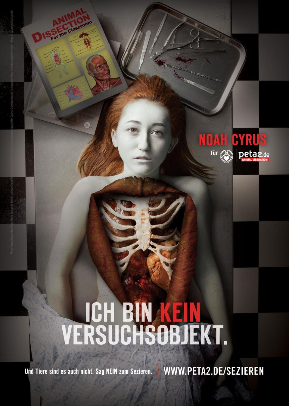 Noah Cyrus will im Gedächnis bleiben und legt sich dafür auf einen Seziertisch, um gegen das Sezieren von Tieren im Unterricht zu kämpfen. Noah Cyrus will im Gedächnis bleiben und legt sich dafür auf einen Seziertisch, um gegen das Sezieren von Tieren im Unterricht zu kämpfen.