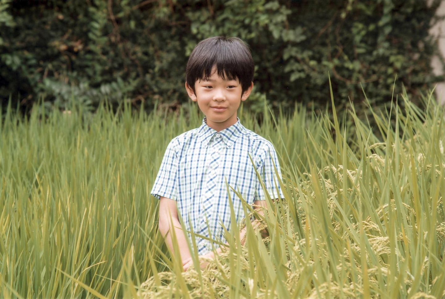 6. September 2016  Prinz Hisahito wird zehn Jahre alt! In einem Reisfeld posiert der einzige Sohn von Prinz Akishino und seiner Frau Kiko im August für seine Geburtstagsfotos.