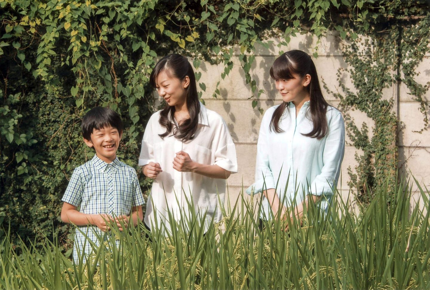 6. September 2016  Hisahito amüsiert sich mit seinen großen Schwestern Kako und Mako.