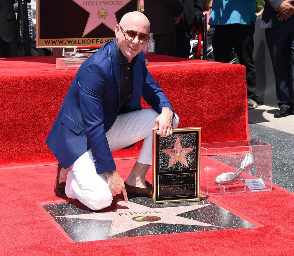 15. Juli 2016: Der Rapper Pitbull alias Armando Christian Perez wird mit einem Stern auf dem Hollywood Walk of Fame für seine Arbeit honoriert.