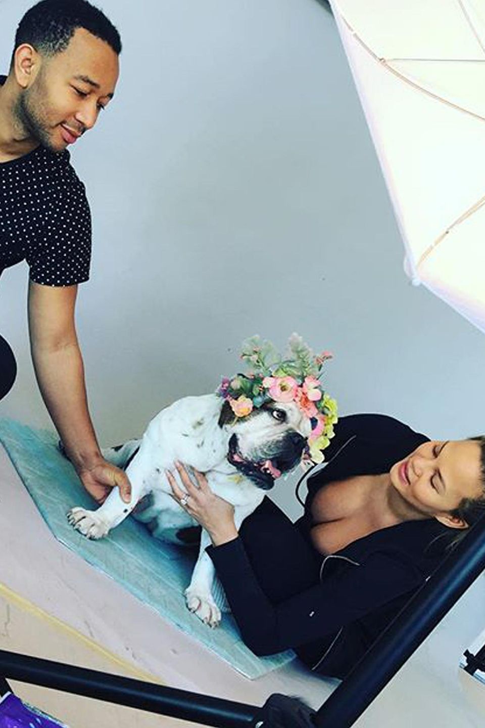 Da das Kind der beiden noch nicht auf der Welt ist, muss Chrissy Teigens und John Legends Hund für ein Fotoshooting herhalten. Die Bilder sollen laut Teigen danach im Kinderzimmer aufgehängt werden.