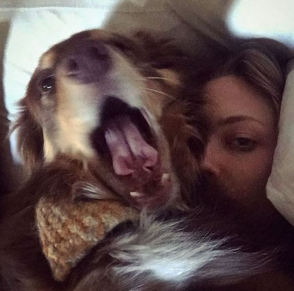 Amanda Seyfried und ihr australischer Schäferhund Finn sind ein Herz und eine Seele und genießen gemeinsam ihren Jetlag. Jetzt blos die Luft anhalten!