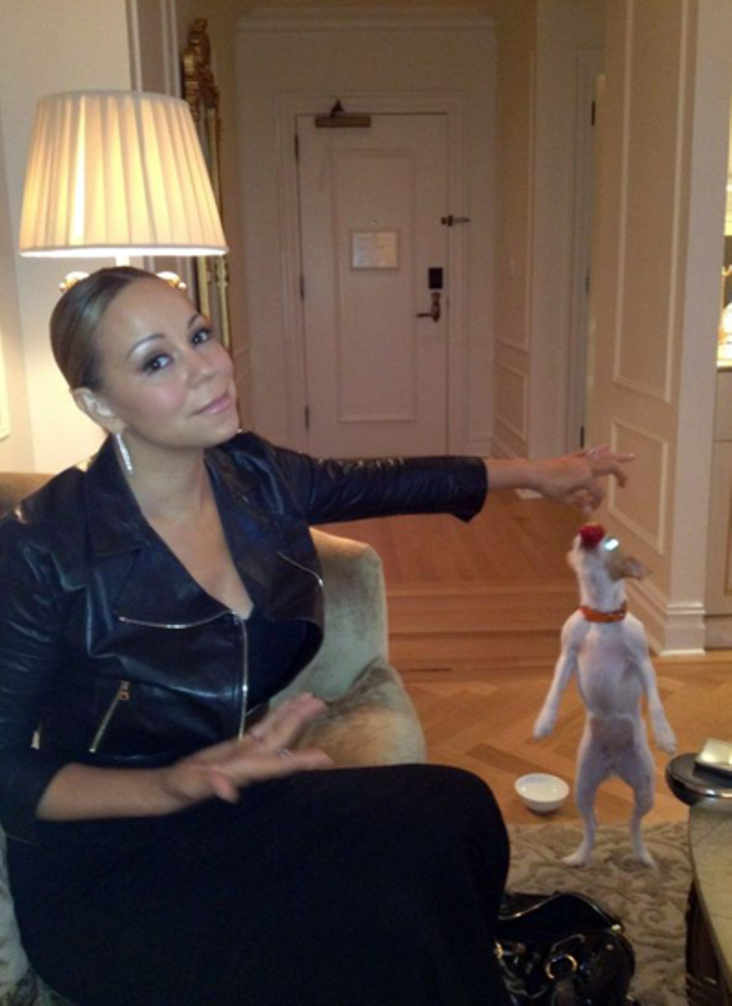14. Juni 2012: Wer bei einer Diva lebt, wird selbst zur einer: Mariah Careys Hund ist ein Feinschmecker auf vier Beinen frisst s