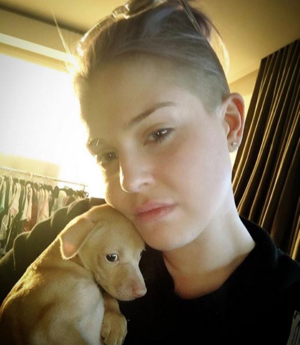 Kelly Osbourne ist eine echte Tierschützerin: Dieses zitternde Hundebaby ist an Hauptkreuzungen durch die Autos gereicht worden um so illegal verkauft zu werden. Kelly Osbourne ist eine echte Tierschützerin: Dieses zitternde Hundebaby ist an Hauptkreuzungen durch die Autos gereicht worden um so illegal verkauft zu werden.